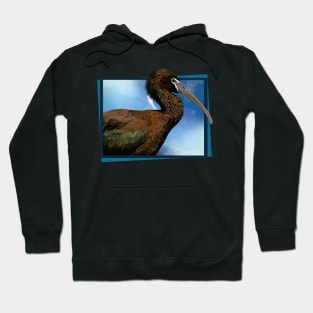 ibis Hoodie